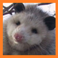 Opossum